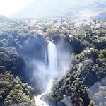Hébergement de vacances L'oliveto