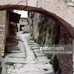 L'oliveto * Trevi