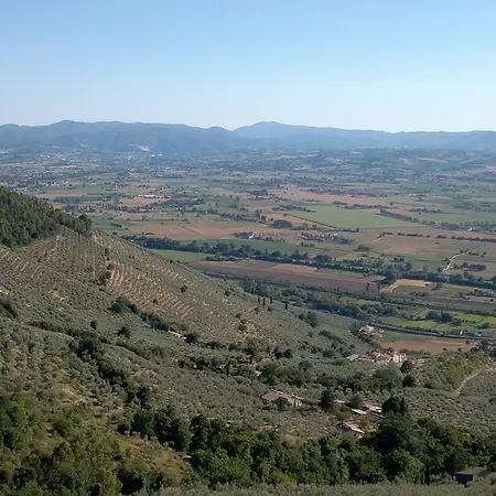 L'oliveto Trevi