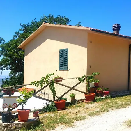 L'oliveto * Trevi