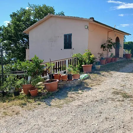 Holiday home L'oliveto Trevi