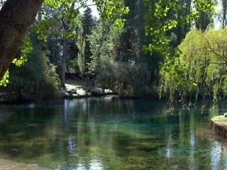 L'oliveto * Trevi