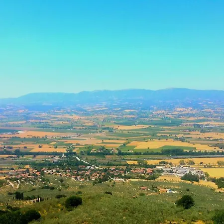 L'oliveto Holiday home *