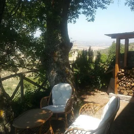 L'oliveto *