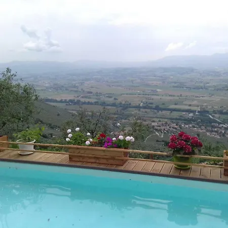 L'oliveto Trevi