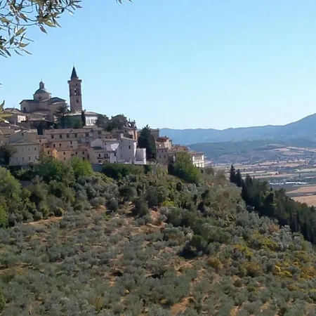 L'oliveto Holiday home