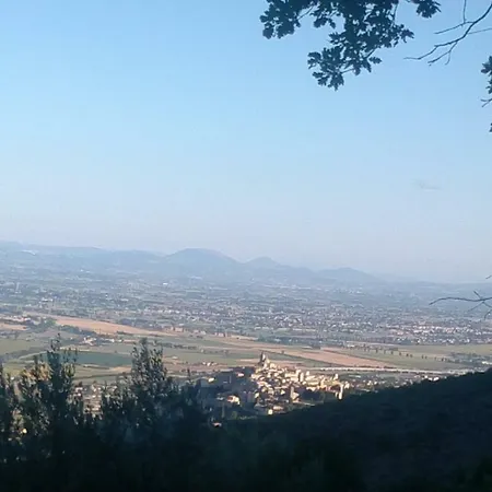 Dom wakacyjny L'oliveto *